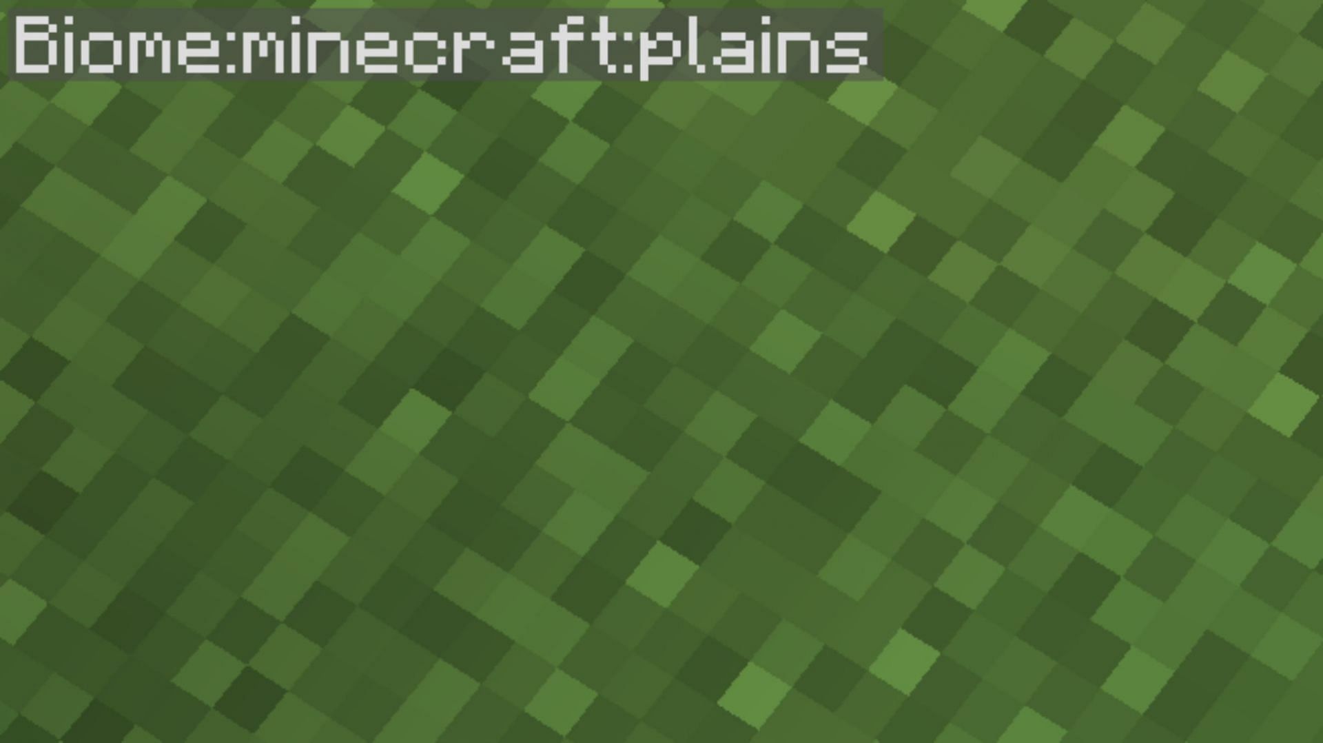 Players can also see which biome they are standing on (Image via Sportskeeda Gaming || Mojang Studios)